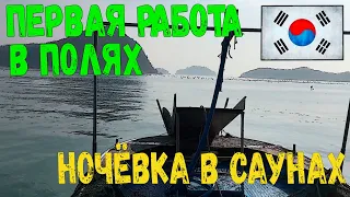 Работа в Южной Корее 2019! Работа в полях! Сауны Южной Кореи!