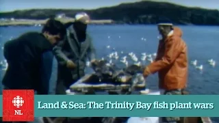 Land & Sea: The fish plant wars of Trinity Bay - Full Episode