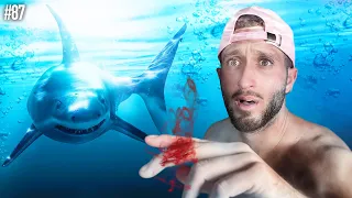 כריש תקף אותי בלב ים?! (הכי מפחיד עד היום!!)