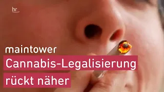 Cannabis-Legalisierung | maintower