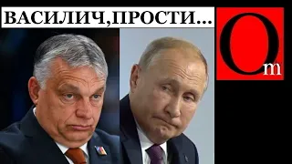 Орбан прокатил путина. Украина и Молдова еще на шаг ближе к Евросоюзу!