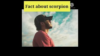 Fact about scorpion #fact #facts #shorts #interesting #short