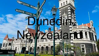 Dunedin New zealand November 2023