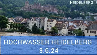 03.06.2024 - HEIDELBERG - HOCHWASSER