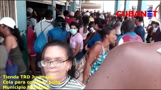 "'¡Esto va directo pa CubaNet!": crece el disgusto entre CUBANOS por largas colas para comprar pollo