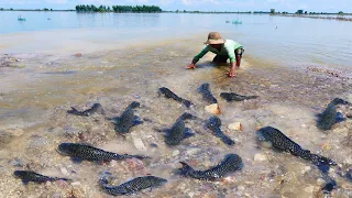 amazing fishing! a lots of fish flood catch by best hand today in rainy season