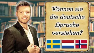German vs Swedish vs Norwegian vs Dutch | Can they understand the German language? | #1