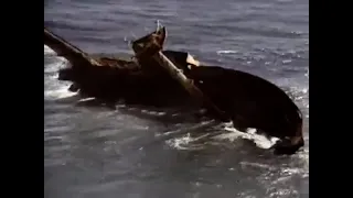 Secrets of the Bermuda Triangle (1978)