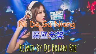 Ni De Gu Niang - 隔壁老樊 (Electro Manyao) By Dj Brian Bie #dj抖音版2024 #remixmanyao #remixkaraoke