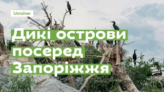 Дикі острови посеред Запоріжжя за 1 хвилину · Ukraїner