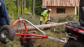 Cutting and driving trees with ATV