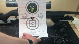 Ruger 10/22 Target Tactical .22LR Ammo Test 110 yards / 100 Meter