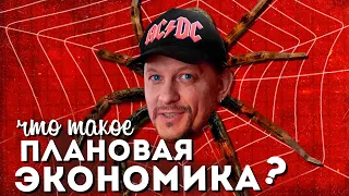 Что такое ПЛАНОВАЯ ЭКОНОМИКА?