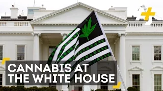 High At The White House