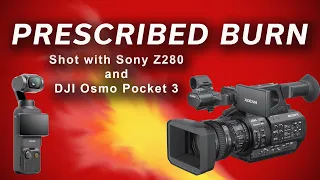 Prescribed Burn - shot with Sony Z280 and DJI Osmo Pocket 3