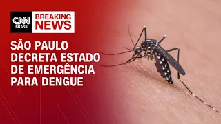 São Paulo decreta estado de emergência para dengue | CNN NOVO DIA