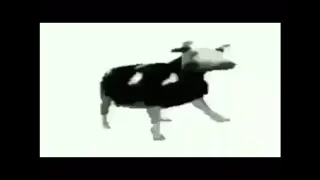 POLISH COW BUT WITH FASTER SPEEDS