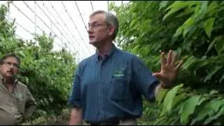 Discussion by Dr Greg Lang of cherries in retractable roof house, June 14, 2013