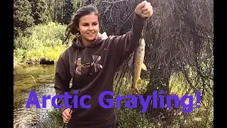 Amy catching an Arctic Grayling