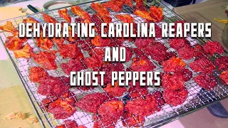 Dehydrating Carolina Reapers • Ghost Peppers
