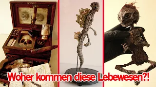 Geheime Lebewesen entdeckt?! Die gruselige Merrylin Cryptid Sammlung | MythenAkte