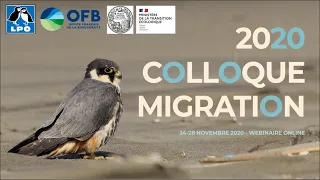 S3 : Plénière : Conservation des oiseaux migrateurs : les grands enjeux