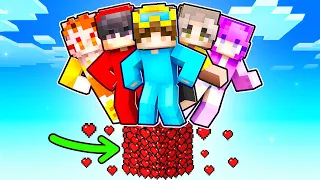 Minecraft But We’re On ONE HEART BLOCK!