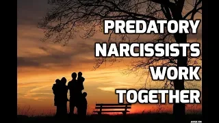 Predatory Narcissists Work Together