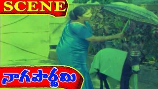 Naga Pournami Movie Scenes - Y Vijaya comedy with donkey | Arjun | Radha | V9videos