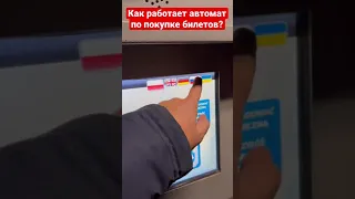 Как работает автомат по покупке билетов на автобус в Польше