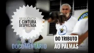 Sequência de ensino e ensinamentos - Capoeira Regional, Documentário.