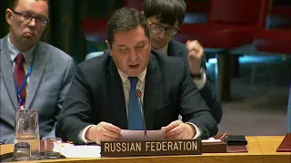 В.К.Сафронков на заседании СБ ООН по Ближнему Востоку