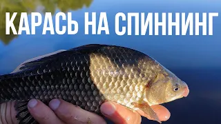 Первые майские караси! Мормышинг. Карась на спиннинг