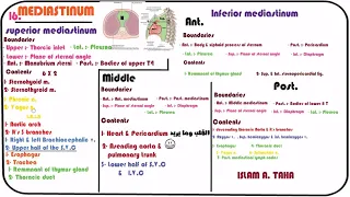 16.Mediastinum ( Anatomy and contents )