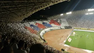 Hajduk - Vitoria 3:1 koreografija