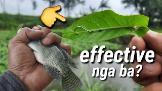 BAGONG PAIN PARA SA TILAPIA | KANGKONG | WATERSPINACH BAIT SO EFFECTIVE