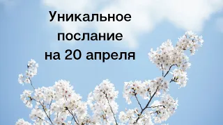 Важное послание на 20 апреля. Отпустите сложности.