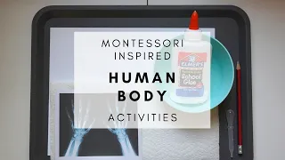 The Human Body | Montessori Inspired Activities for Toddlers and Preschoolers