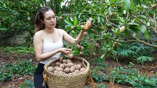 Surviving in the sapodilla Forest - Unexpectedly visiting his sick sister - Cooking | Ngân Daily