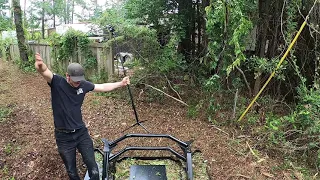 ANGRY BEES VS MONSTER CUTTER! Cutting An Overgrown Lot With MTL XC8T