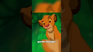 Un détail que tu n'as jamais vu dans le Roi Lion 😱