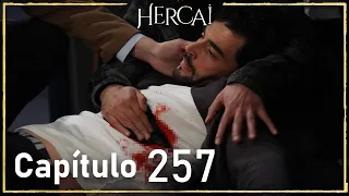 Hercai - Capítulo 257 Final