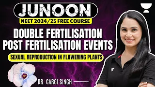 Double Fertilisation and Post Fertilisation Events | Junoon NEET 2024 | Gargi Singh