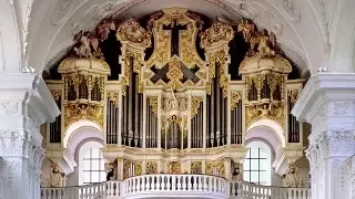 The fascination of organ building