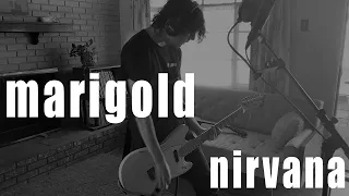 Marigold - Nirvana cover
