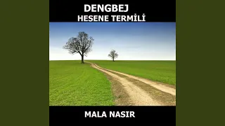 Mala Nasır