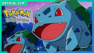 Bulbasaur’s Evolution Song! ✨🎶 | Pokémon: Indigo League | Official Clip