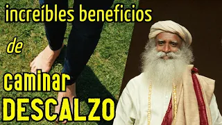 Beneficios de caminar descalzo | Beneficios de caminar descalzo en el pasto | Curación de Rieki