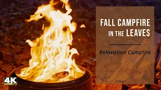 Escape the Stress of Daily Life with a Solo Stove Firepit Campfire Video, 10-Hour 4K Fireplace Video