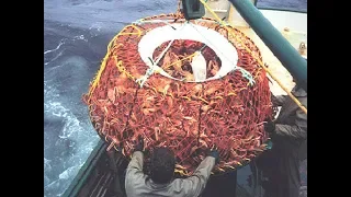 Awesome Snow Crab Fishing On The Sea, Big Catch King Crab Trap Under Deep Sea